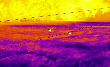 Thermal Inspection
